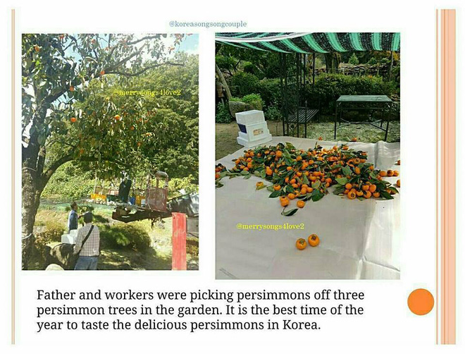 Bố Song Joong Ki tiết lộ về chuyện chuẩn bị đón con dâu Song Hye Kyo