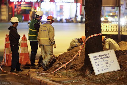 Chùm ảnh: Di dời hàng bằng lăng cuối cùng trên đường Kim Mã