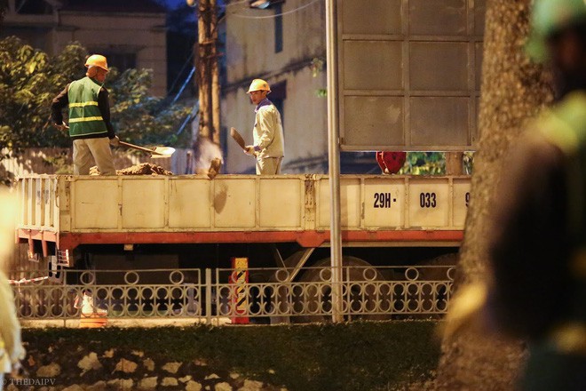 Chùm ảnh: Di dời hàng bằng lăng cuối cùng trên đường Kim Mã