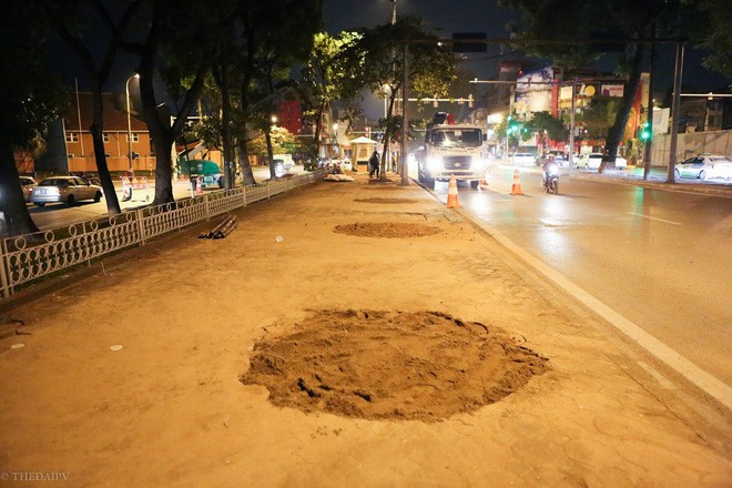 Chùm ảnh: Di dời hàng bằng lăng cuối cùng trên đường Kim Mã