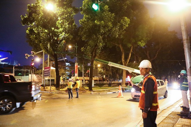 Chùm ảnh: Di dời hàng bằng lăng cuối cùng trên đường Kim Mã