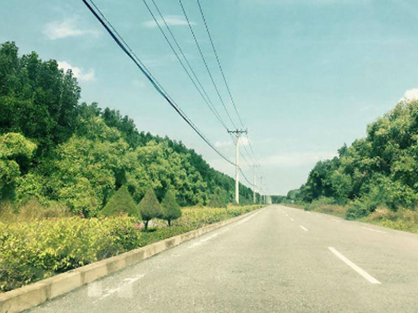 Đất Cần Giờ vẫn chưa giảm sốt