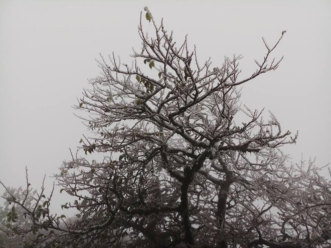 Nhiệt độ xuống 1 độ C, đỉnh núi Phia Oắc có băng giá phủ kín