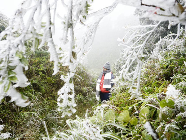 Dự báo thời tiết 24/11: Miền Bắc rét nhất đợt, khả năng có băng giá