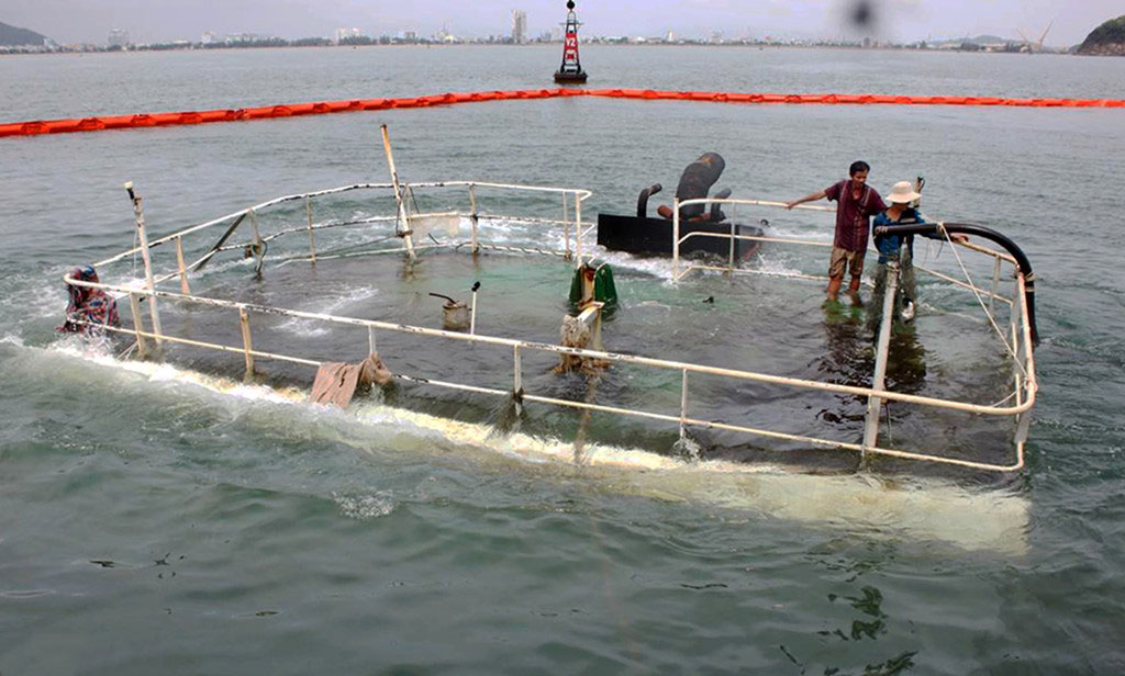 Nghĩa địa tàu hàng chìm khiến container chồng chất ở cảng Quy Nhơn