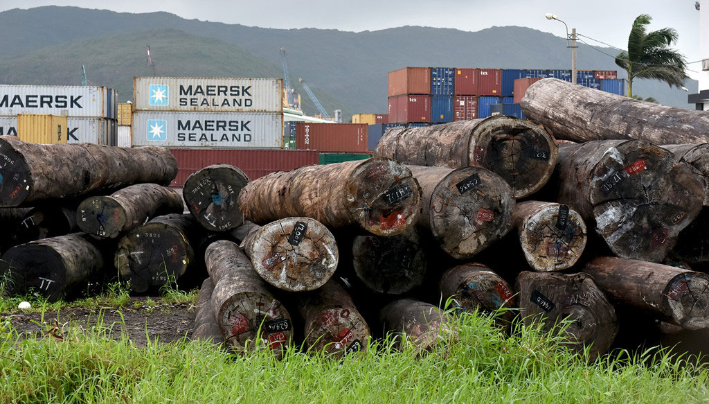 Nghĩa địa tàu hàng chìm khiến container chồng chất ở cảng Quy Nhơn