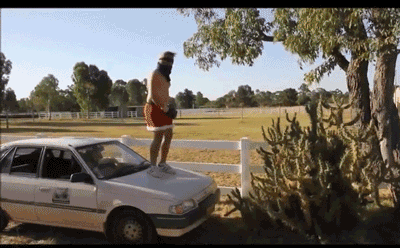 Khiêu chiến với cây xương rồng, thanh niên nhảm nhí nhất năm suýt nhập viện