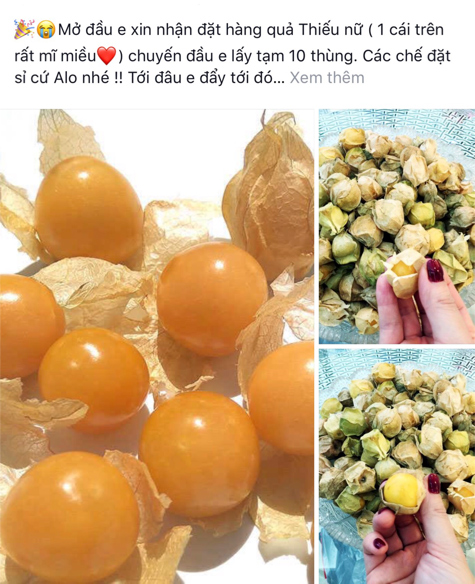 Thần dược tầm bóp: Đua đòi hàng Nhật, hóa ra ăn hàng Tàu