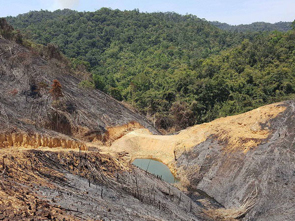 Chủ tịch xã được miễn cách chức nhờ... phó chủ tịch dùng bằng giả