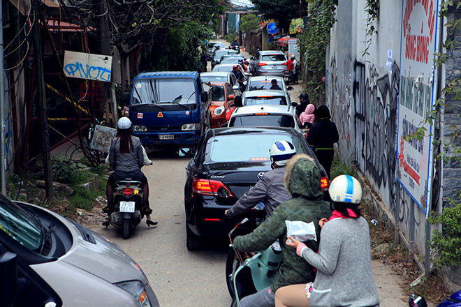 Hà Nội: Bất chấp rét đậm, hàng nghìn người đổ về Nhật Tân check-in cúc họa mi