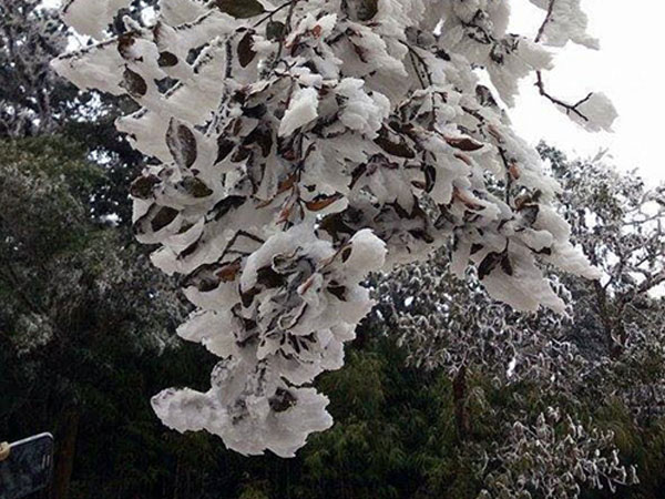 Dự báo thời tiết 25/11: Fansipan -5 độ, nhiều nơi có băng tuyết