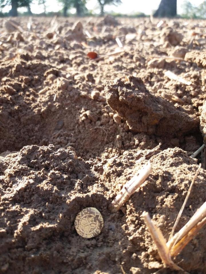 Anh: 25 năm đi tìm kho báu cuối cùng cũng cho quả ngọt