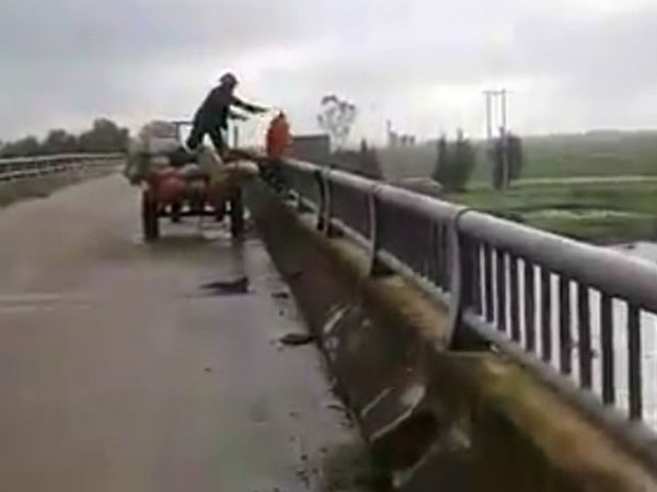 Người đàn ông ném cả xe công nông rác xuống sông bị phạt 5 triệu đồng