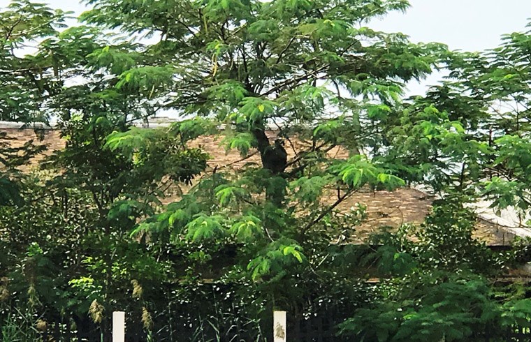 Cận cảnh biệt phủ ven sông của con gái nguyên Phó thống đốc Ngân hàng