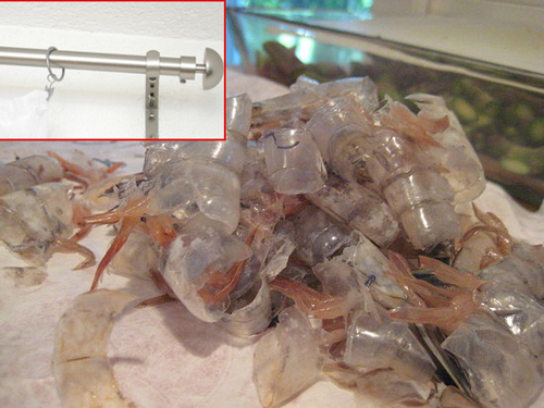 Chồng bỏ theo thư ký, vợ nghĩ ra chiêu trả thù có một không hai