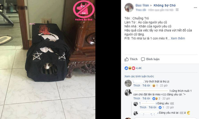 Nam thanh niên lấy hết áo đôi với người yêu cũ làm chuồng chó mèo gây tranh cãi