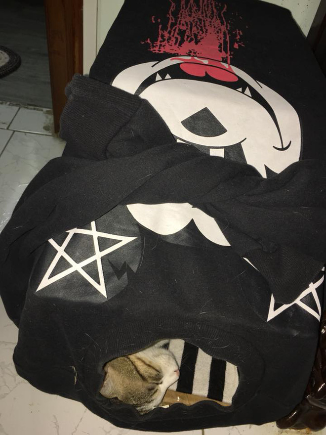 Nam thanh niên lấy hết áo đôi với người yêu cũ làm chuồng chó mèo gây tranh cãi