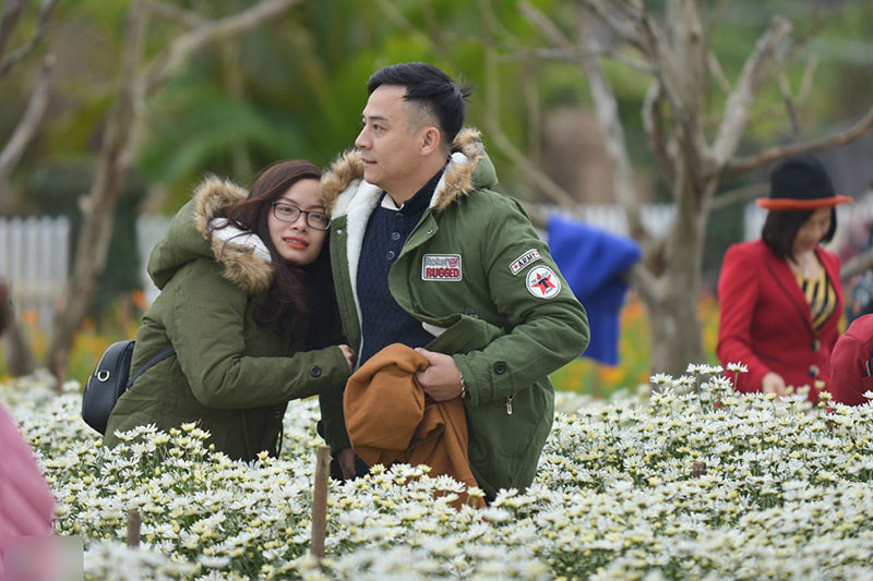 Đổ xô tạo dáng với cúc họa mi trong giá rét