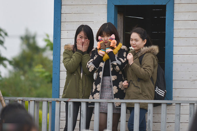 Đổ xô tạo dáng với cúc họa mi trong giá rét