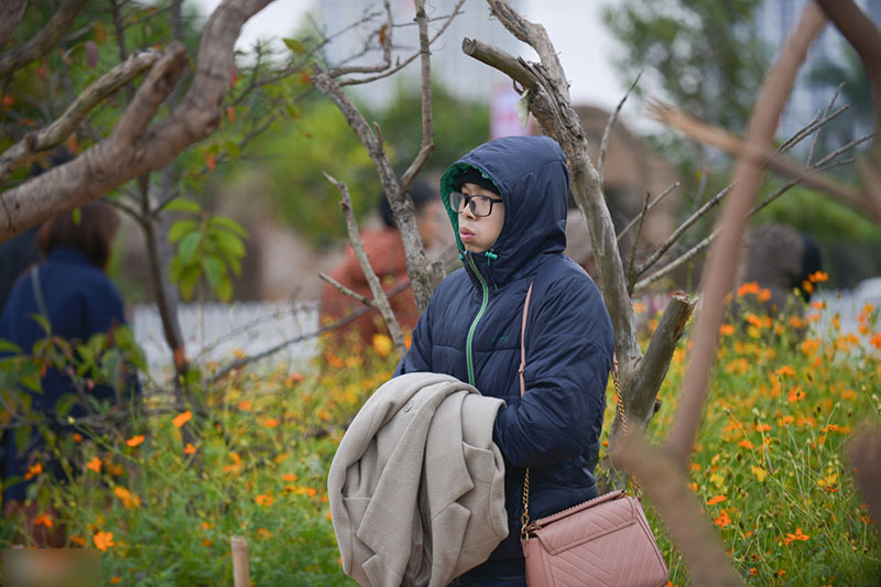 Đổ xô tạo dáng với cúc họa mi trong giá rét