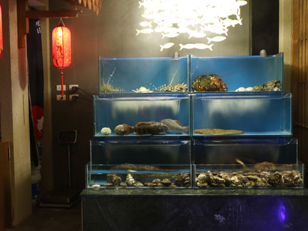 Hải sản Nhật đang bơi: Sáng ở Tokyo, chiều lên bàn nhậu Hà Nội