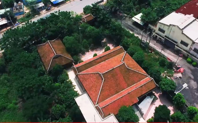 Vợ ông Nguyễn Phước Thanh: Con gái tôi làm gì có tiền mua, của vợ chồng tôi cho nó