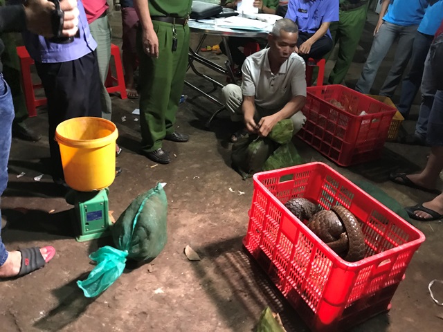 Bộ Công an bắt đối tượng buôn bán động vật hoang dã số lượng lớn Bộ Công an bắt đối tượng buôn bán động vật hoang dã số lượng lớn