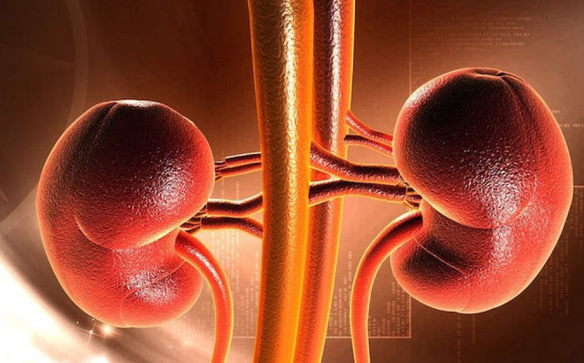 TS Mỹ chỉ rõ 5 bộ phận cơ thể tích tụ nhiều độc nhất: Nên ưu tiên thải độc để phòng bệnh