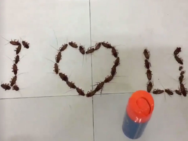 Màn tỏ tình bẩn và hãi hùng nhất quả đất khiến các cô gái sợ khiếp vía