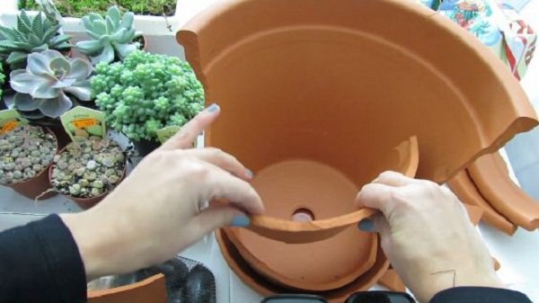 Không cần mua chậu mới, vẫn trồng được cả vườn cây cảnh mini tuyệt đẹp từ mảnh chậu vỡ Không cần mua chậu mới, vẫn trồng được cả vườn cây cảnh mini tuyệt đẹp từ mảnh chậu vỡ