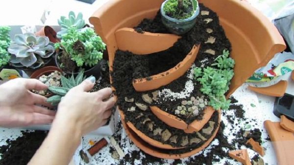 Không cần mua chậu mới, vẫn trồng được cả vườn cây cảnh mini tuyệt đẹp từ mảnh chậu vỡ Không cần mua chậu mới, vẫn trồng được cả vườn cây cảnh mini tuyệt đẹp từ mảnh chậu vỡ