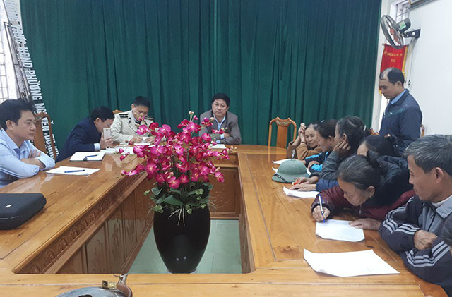 Hàng chục con bò thả rông trong thành phố bị gom về trụ sở phường