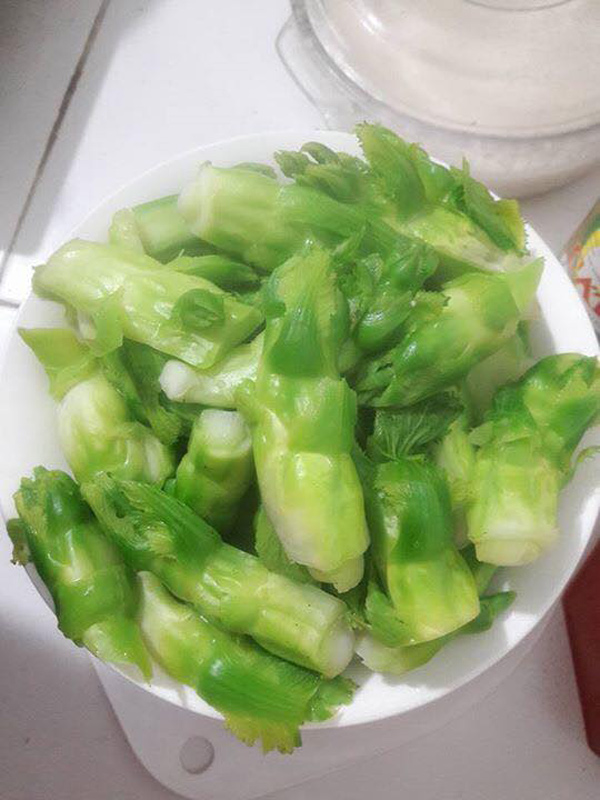 Cải mầm đá Sapa đắt như thịt: Coi chừng hàng Tàu đột lốt