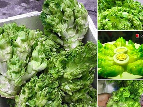 Cải mầm đá Sapa đắt như thịt: Coi chừng hàng Tàu đột lốt