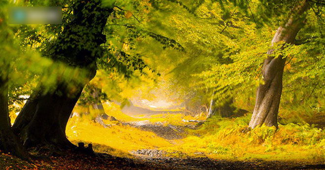 Cây to và cây nhỏ, bạn chọn chặt cây nào? và kết luận giúp nhiều người nhận ra thiếu sót