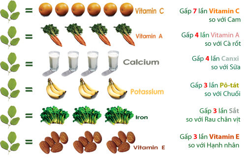 Cách trồng 4 loại rau thần dược đang được chị em săn lùng nhiều nhất Cách trồng 4 loại rau thần dược đang được chị em săn lùng nhiều nhất