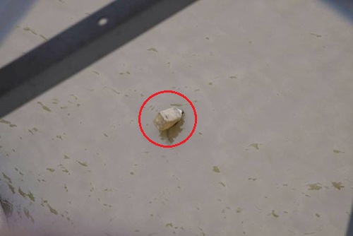 Hà Nội cấm phương tiện qua cầu Long Biên để vớt bom