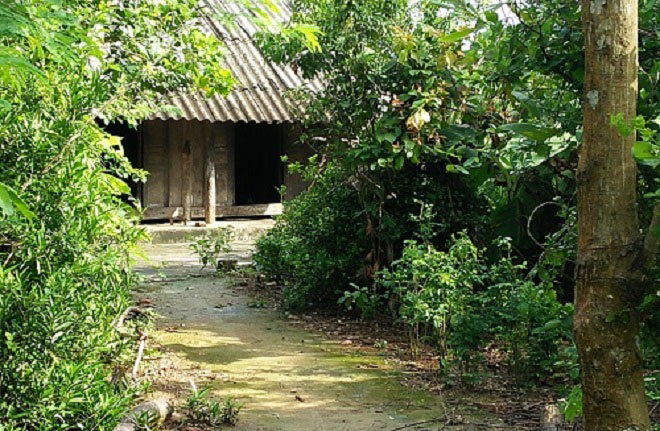 Kỳ lạ: Con trai tâm thần lên cơn, mẹ già hát ru là ngừng đập phá