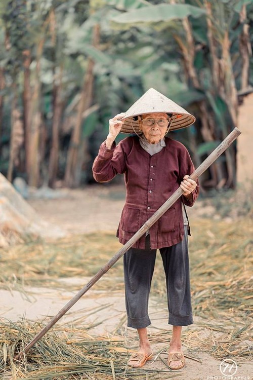 Bộ ảnh cúc họa mi ‘phiên bản’ bà ngoại khiến người ta phải mỉm cười ngay lập tức! Bộ ảnh cúc họa mi ‘phiên bản’ bà ngoại khiến người ta phải mỉm cười ngay lập tức!