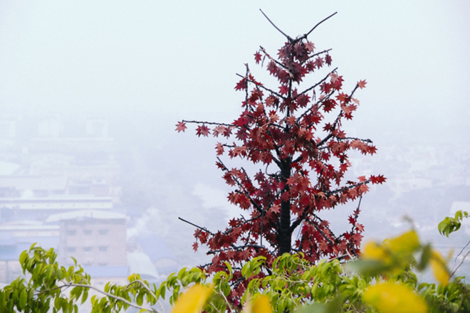 Hiện tượng thời tiết khiến Sài Gòn như hóa Sa Pa