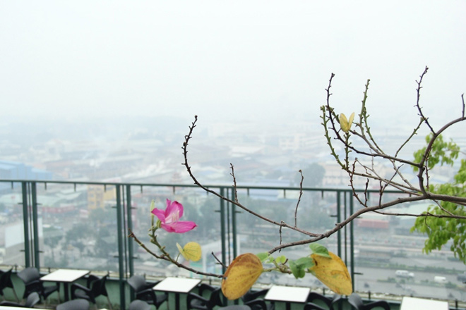 Hiện tượng thời tiết khiến Sài Gòn như hóa Sa Pa