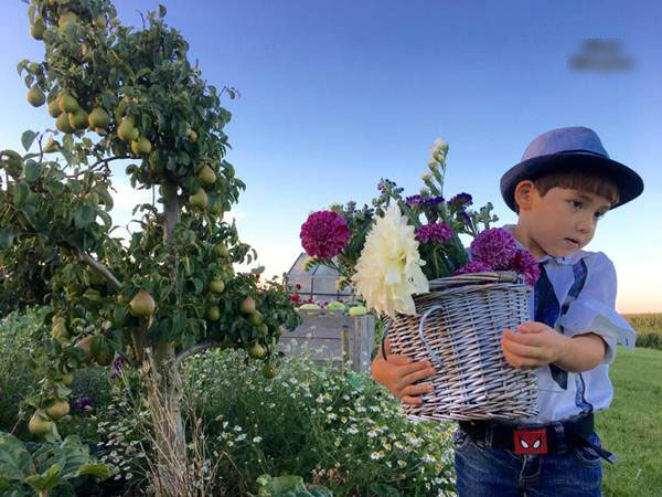 Những khu vườn cây trái sai trĩu trịt đáng ngưỡng mộ của ông bố bà mẹ Việt ở trời Tây