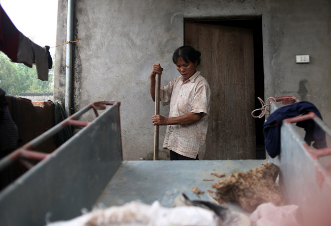 Hà Nội: Tận cùng nỗi đau, sự khốn khổ của một gia đình có nhiều người tâm thần