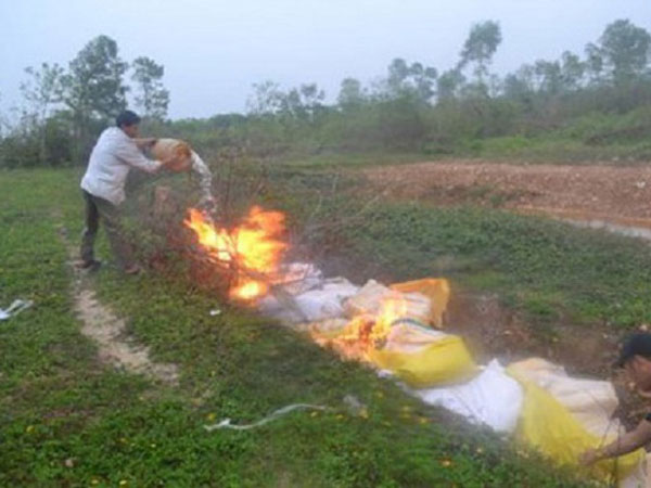 Tiêu hủy hơn 1 tấn dăm bông không rõ nguồn gốc