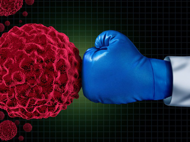 Loại củ được mệnh danh là thần dược mùa đông: Phổ biến ở Việt Nam nhiều người đang thờ ơ