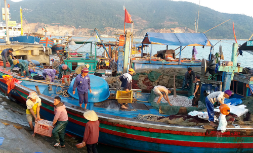 Đầu tư 1.600 tỷ đồng xây dựng hạ tầng nghề cá ở 4 tỉnh miền Trung