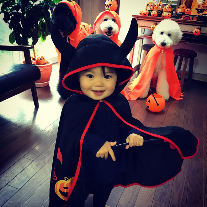 Loạt ảnh hóa trang Halloween hoành tráng nhất mạng xã hội của bé gái Nhật và những người bạn thú cưng Loạt ảnh hóa trang Halloween hoành tráng nhất mạng xã hội của bé gái Nhật và những người bạn thú cưng