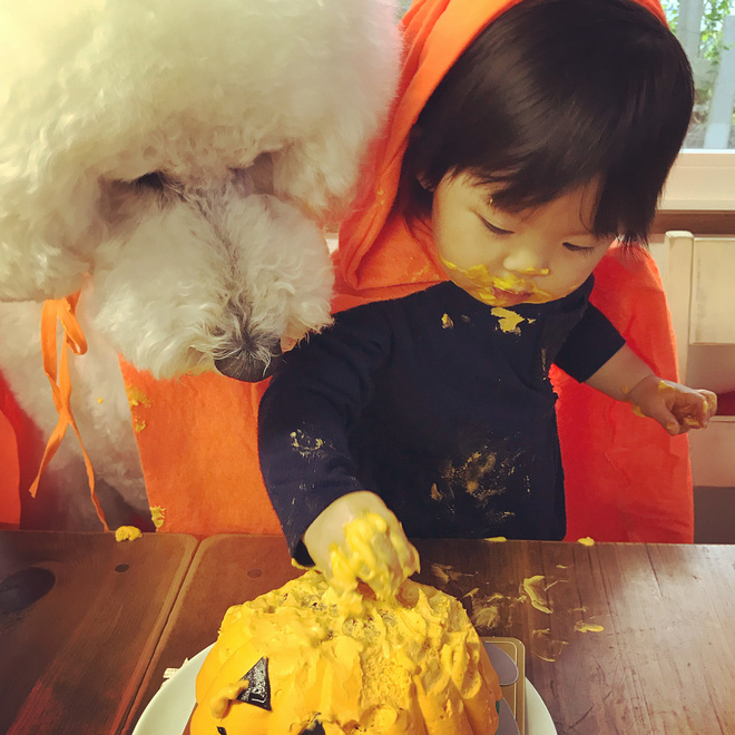 Loạt ảnh hóa trang Halloween hoành tráng nhất mạng xã hội của bé gái Nhật và những người bạn thú cưng Loạt ảnh hóa trang Halloween hoành tráng nhất mạng xã hội của bé gái Nhật và những người bạn thú cưng