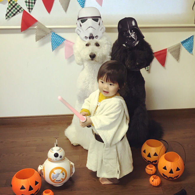 Loạt ảnh hóa trang Halloween hoành tráng nhất mạng xã hội của bé gái Nhật và những người bạn thú cưng Loạt ảnh hóa trang Halloween hoành tráng nhất mạng xã hội của bé gái Nhật và những người bạn thú cưng