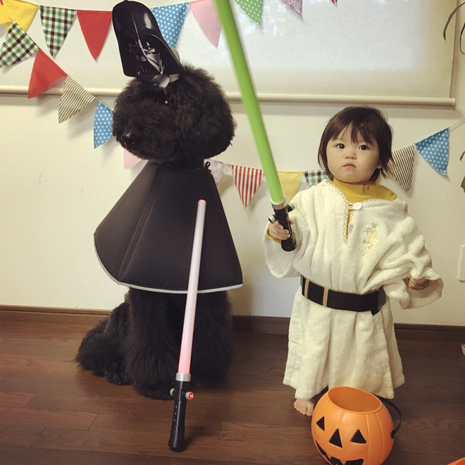 Loạt ảnh hóa trang Halloween hoành tráng nhất mạng xã hội của bé gái Nhật và những người bạn thú cưng Loạt ảnh hóa trang Halloween hoành tráng nhất mạng xã hội của bé gái Nhật và những người bạn thú cưng